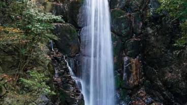 施設の敷地 / 22