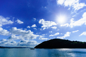 リゾート気分を味わえる「ワンちゃんと泊まる宿ラハイナ」in岡山847243