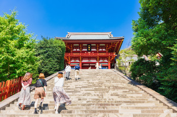 初秋の鎌倉　鶴岡八幡宮　本宮