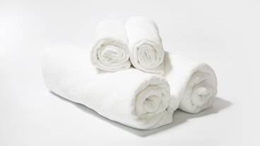 客室の設備とサービス / 33