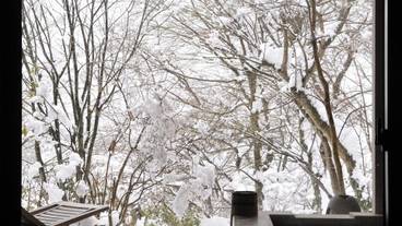 強羅温泉 強羅花扇（ゴウランオンセン ゴウラハナオウギ） / 11