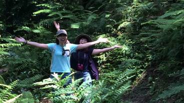 エコツアー / 11