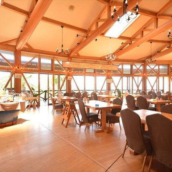 かわいいポニーとのんびり遊んだら、夜は極上フレンチに舌鼓3405355