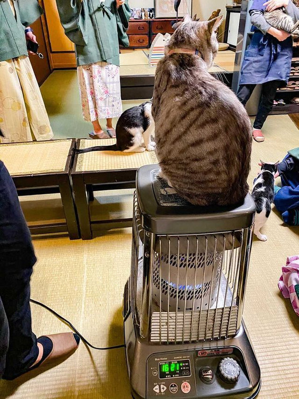 shihoko0922さんの写真 / 6