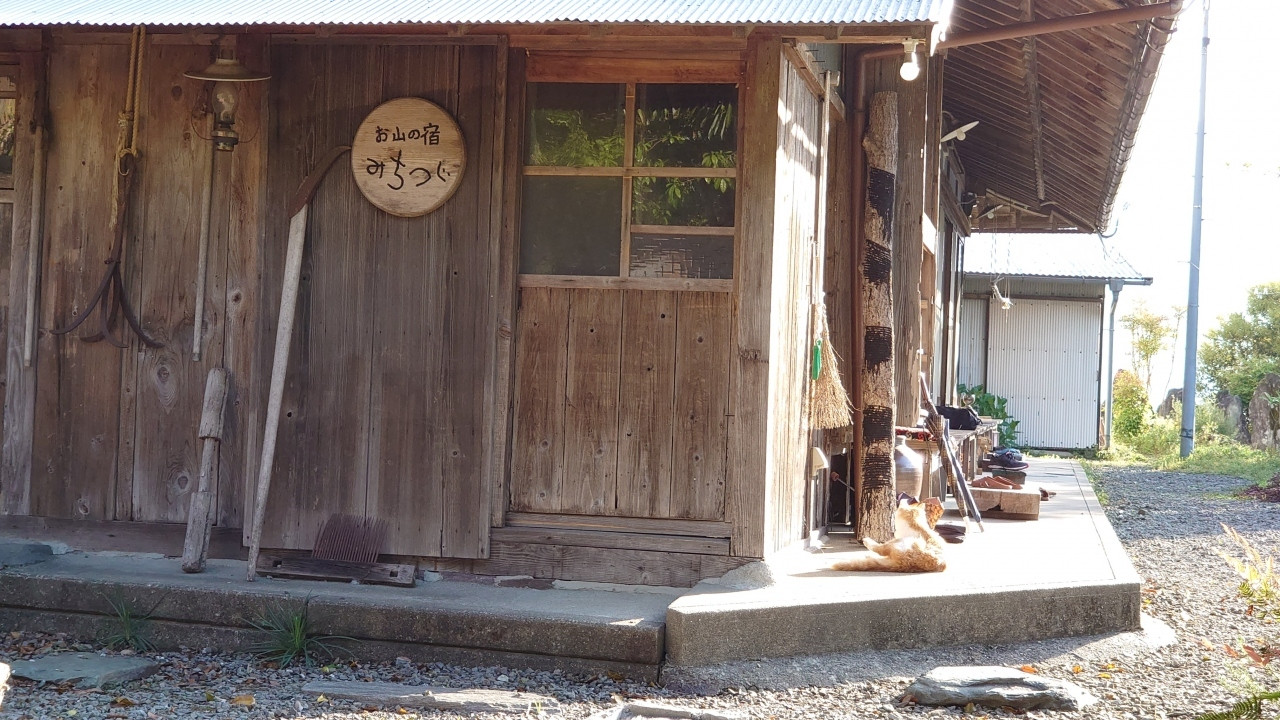 ジビエがいただける古民家民宿3916826