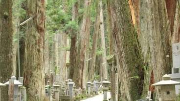 施設の敷地 / 10