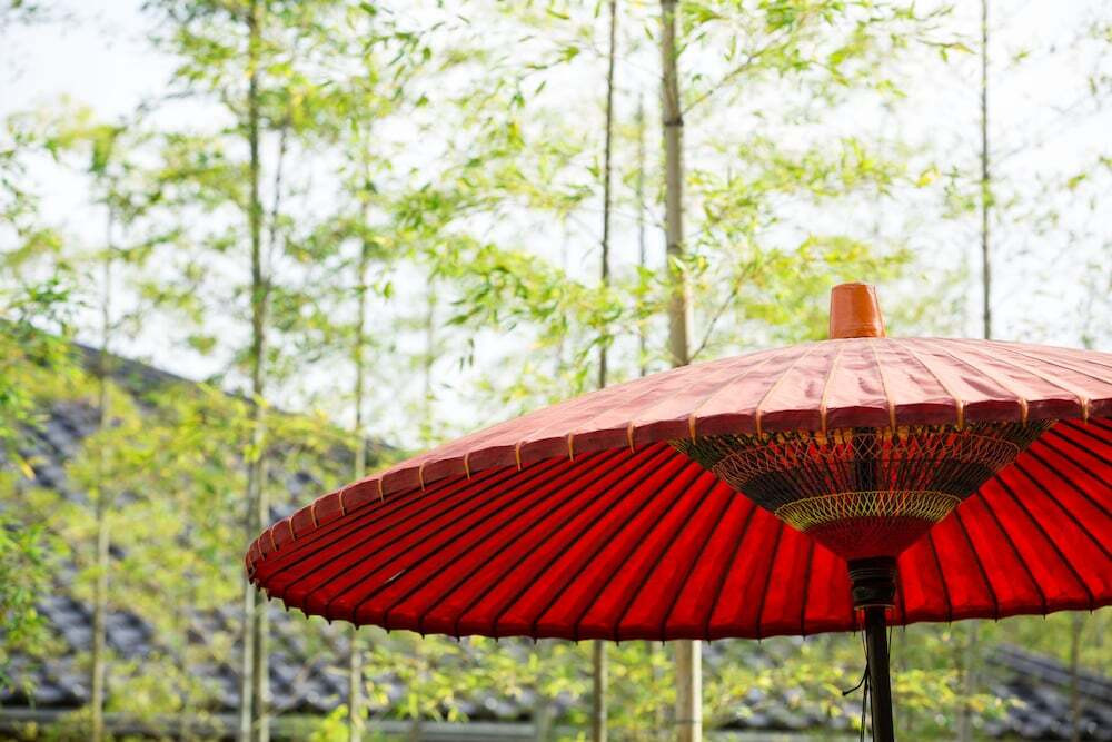 施設からの眺望