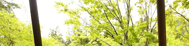 秋田のおしゃれなホテルでちょっと贅沢なステイ♡憧れのホテル8選