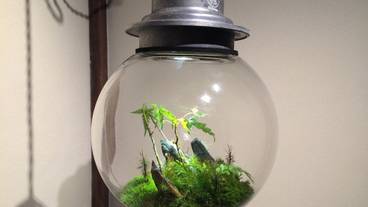 部屋からの景観 / 30