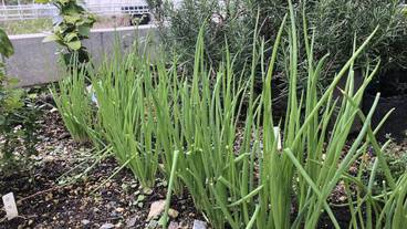 施設の敷地 / 13