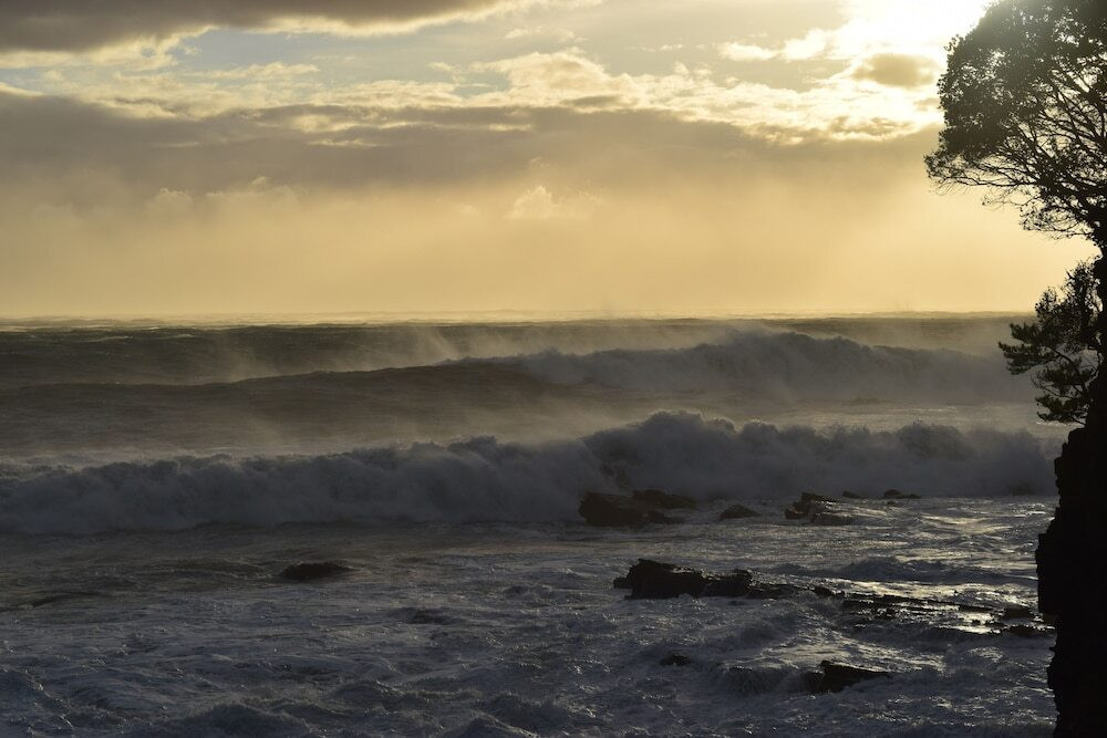 施設からの眺望