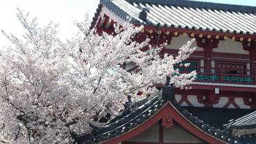 観光スポット / 6