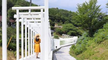 観光スポット / 12