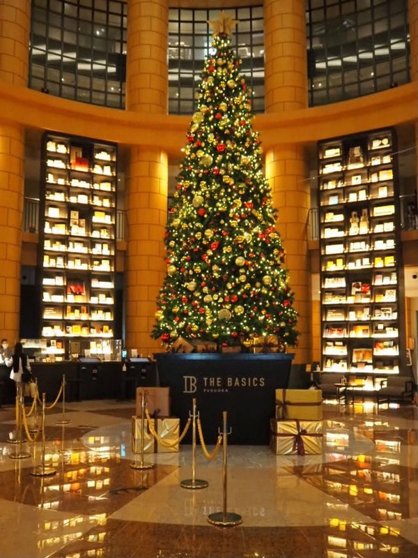 クリスマスツリーが飾られて嬉しかったです。