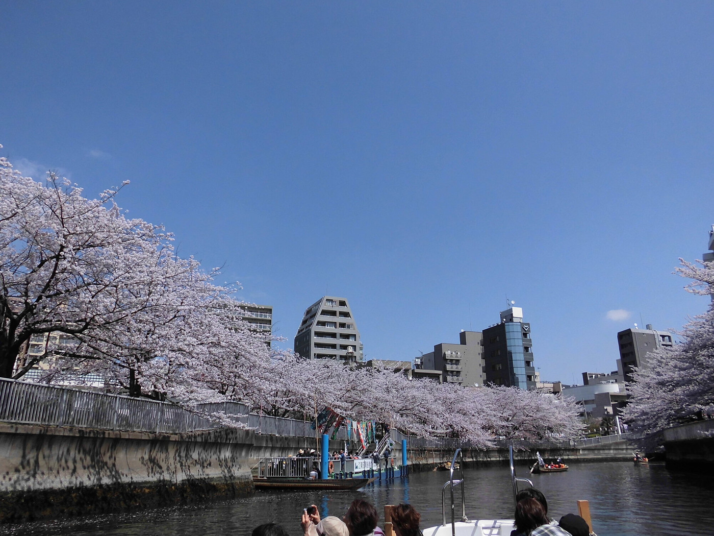 3. 大横川(門前仲町)1558825