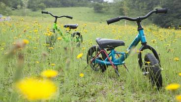 子供用の遊び場 - 屋外 / 9