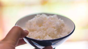 食事・飲み物 / 1