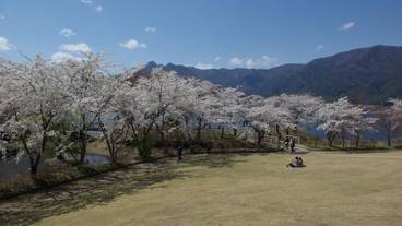 施設の敷地 / 11