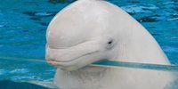 横浜八景島シーパラダイス。水族館ゾーンでやりたいこと8選！