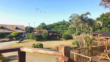 バルコニー / 11