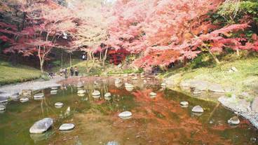 観光スポット / 7