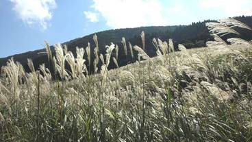 シティ ビュー / 14