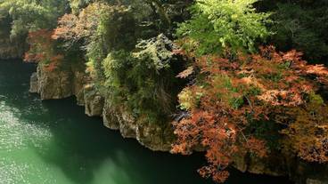 施設からの眺望 / 21