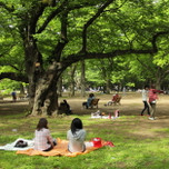 ピクニックにおすすめの公園＆買い出しスポット5選in東京