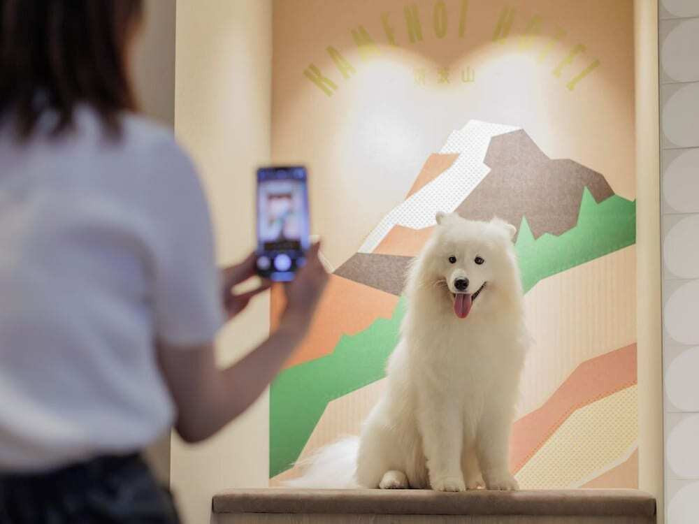 ペット用設備・サービス