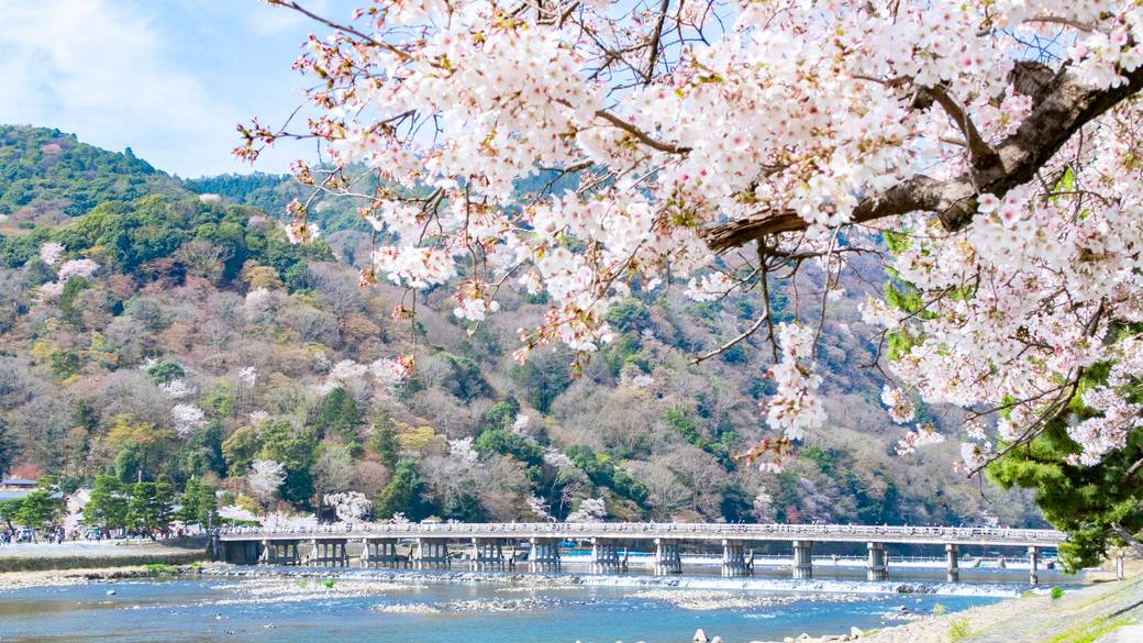 春の渡月橋 / 4