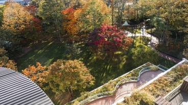 中庭の紅葉 / 16