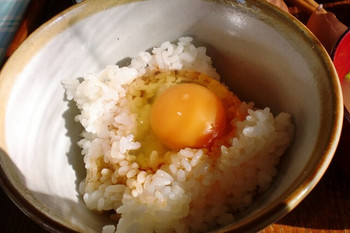 「弁天の里」 料理 10515137 