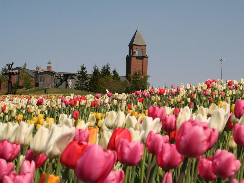 施設からの眺望