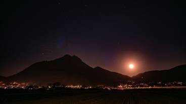 ランド ビュー / 29