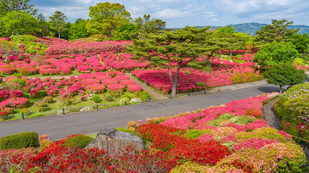 小室山公園 つつじ園 / 3