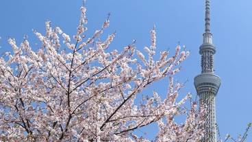 観光スポット / 5