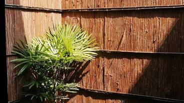 部屋からの景観 / 15