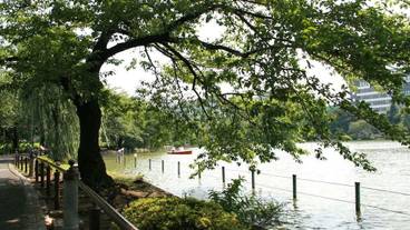 観光スポット / 12