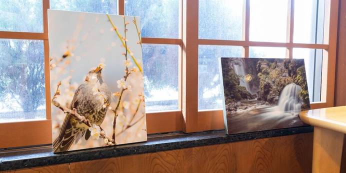 帰郷亭 ゆもとや（長野県）（長野県 旅館） / 1