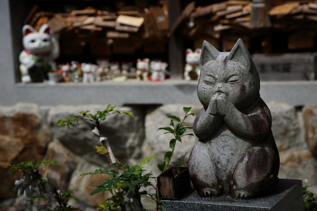 猫をまつる寺社をめぐり、可愛くほっこり♪いやし旅4090755