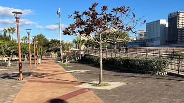 ランド ビュー / 23