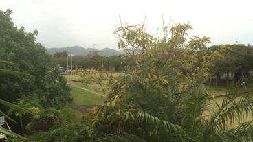 施設からの眺望 / 19