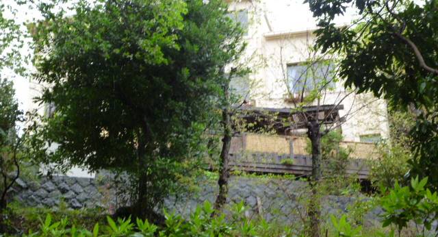 HOTEL 南回帰線(静岡県 ペンション) / 1