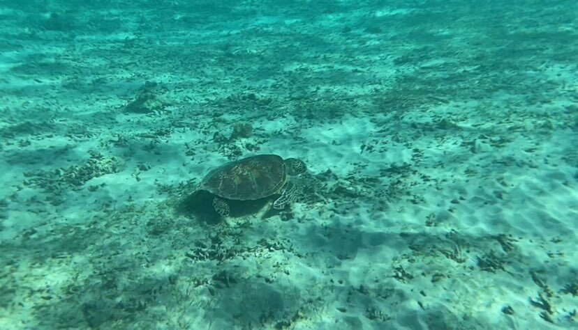 youxiang_1007さんの写真 / 2