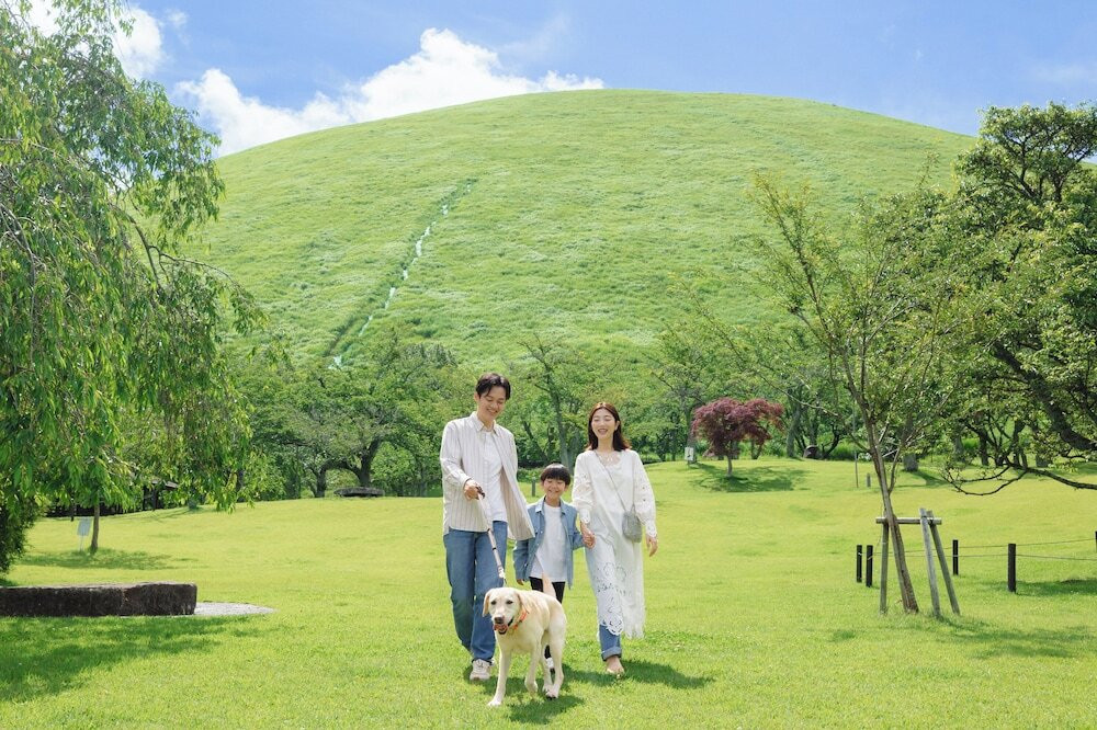 ランド ビュー