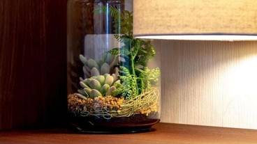 客室の設備とサービス / 35