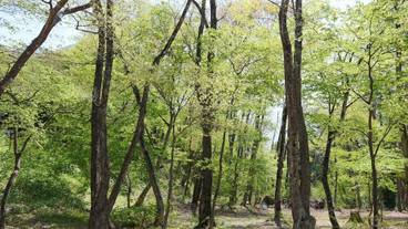 宿泊施設の地図 / 14