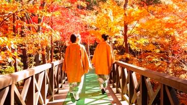 庭園の紅葉 / 21