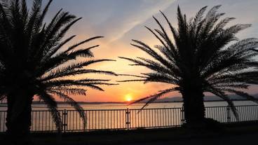 観光スポット / 5