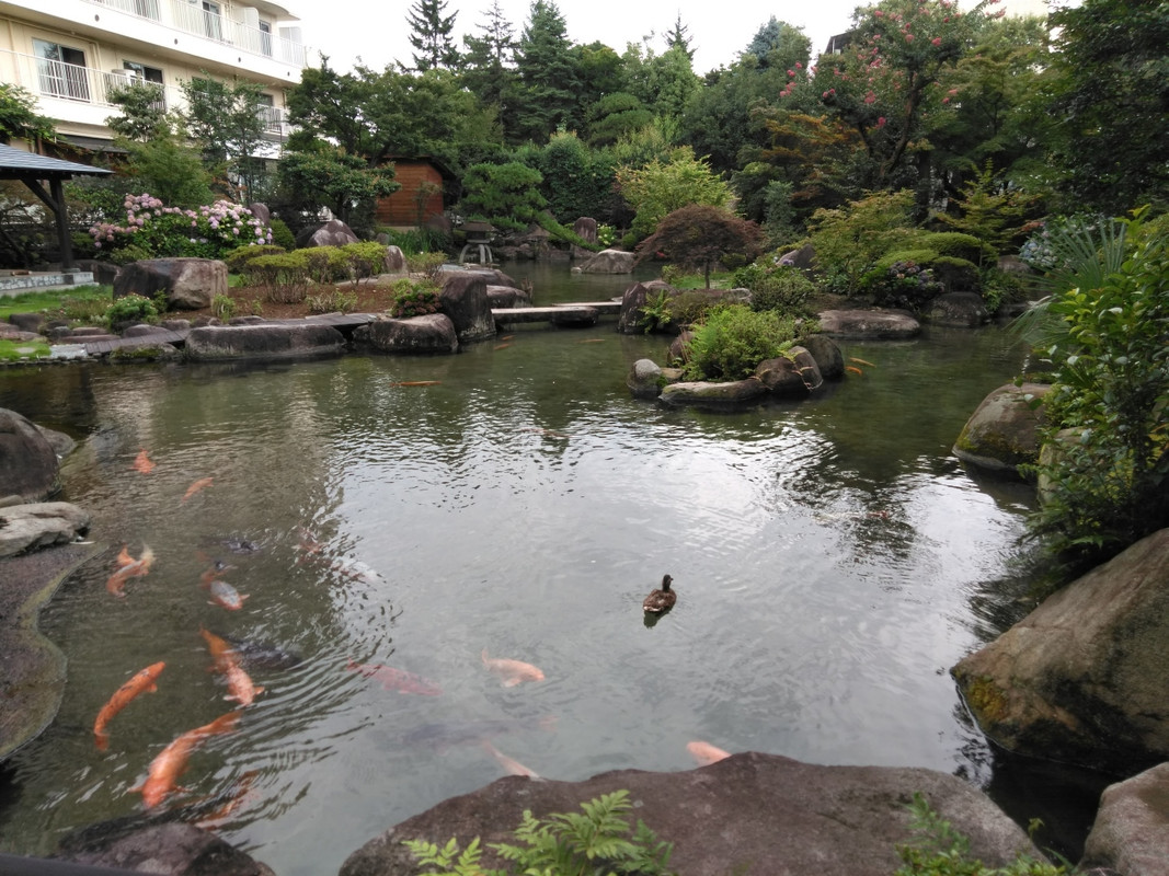 庭園です。鴨や鯉にエサやりが出来て楽しいです。